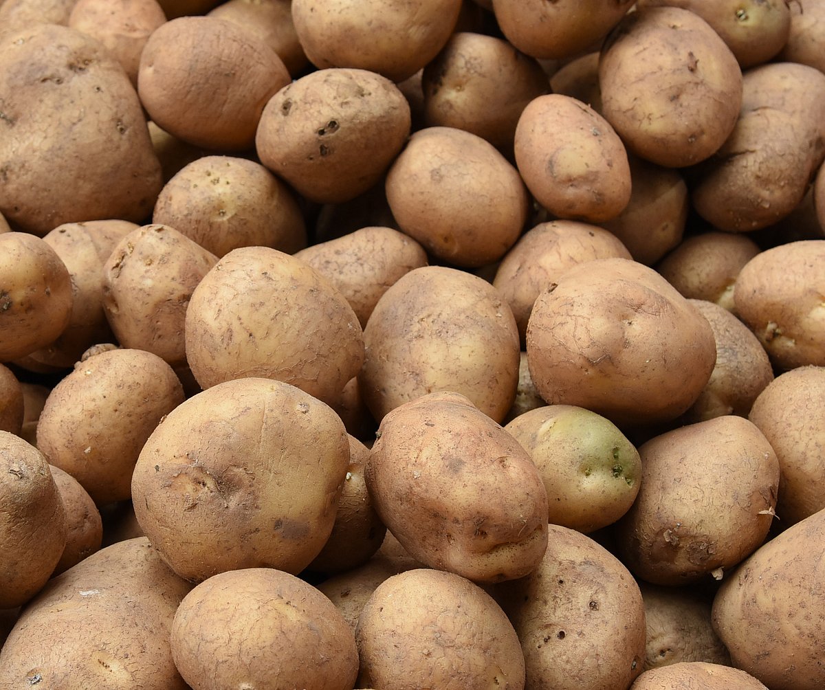 ಅಂತರರಾಷ್ಟ್ರೀಯ ಆಲೂಗಡ್ಡೆ ಕೇಂ‌ದ್ರ ಸ್ಥಾಪನೆಗೆ ಸಂಪುಟ ಅಸ್ತು