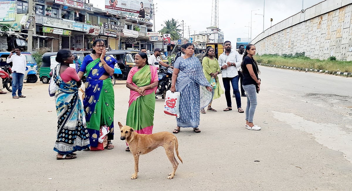 ಹಿರೀಸಾವೆ ಶ್ರೀಕಂಠಯ್ಯ ವೃತ್ತ: ಇಲ್ಲ ತಂಗುದಾಣ, ಜನ ಹೈರಾಣ