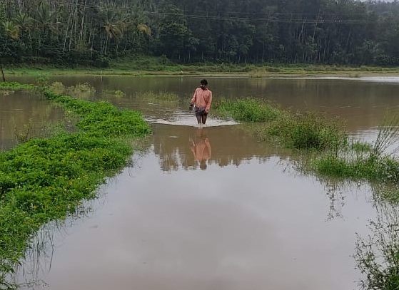 ಗುಹ್ಯ ಅಗಸ್ತ್ಯೇಶ್ವರ ದೇವಾಲಯದ ರಸ್ತೆ ಮುಳುಗಡೆಯಾಗಿರುವುದು