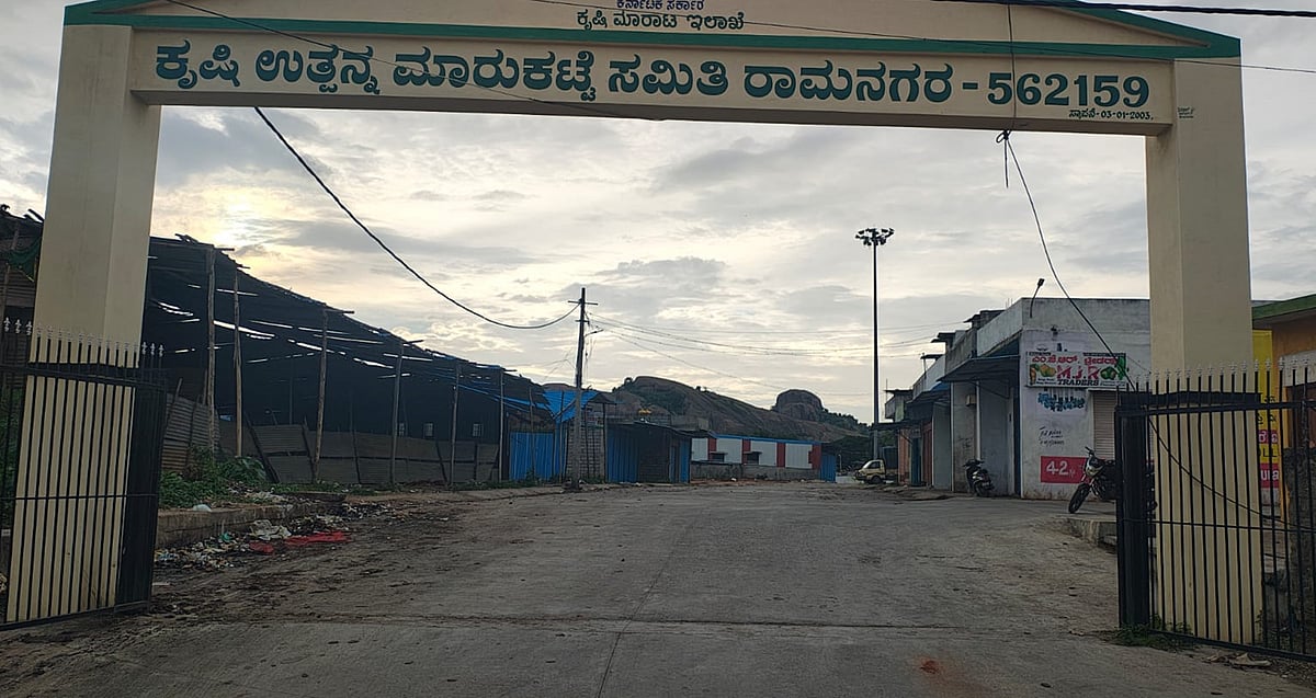 ಮಾವು ಬೆಳೆಗಾರರಿಗಿಲ್ಲ ‘ಬೆಂಬಲ ಬೆಲೆ’ ಭಾಗ್ಯ
