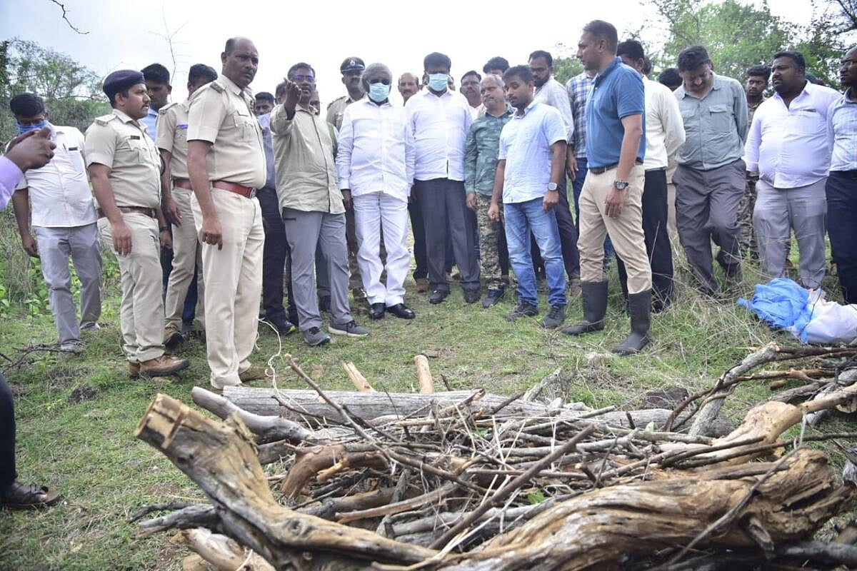 ಚಾಮರಾಜನಗರ | ವಿಷಪ್ರಾಶನದಿಂದ ಹುಲಿಗಳ ಸಾವು: ಸಿಸಿಎಫ್‌