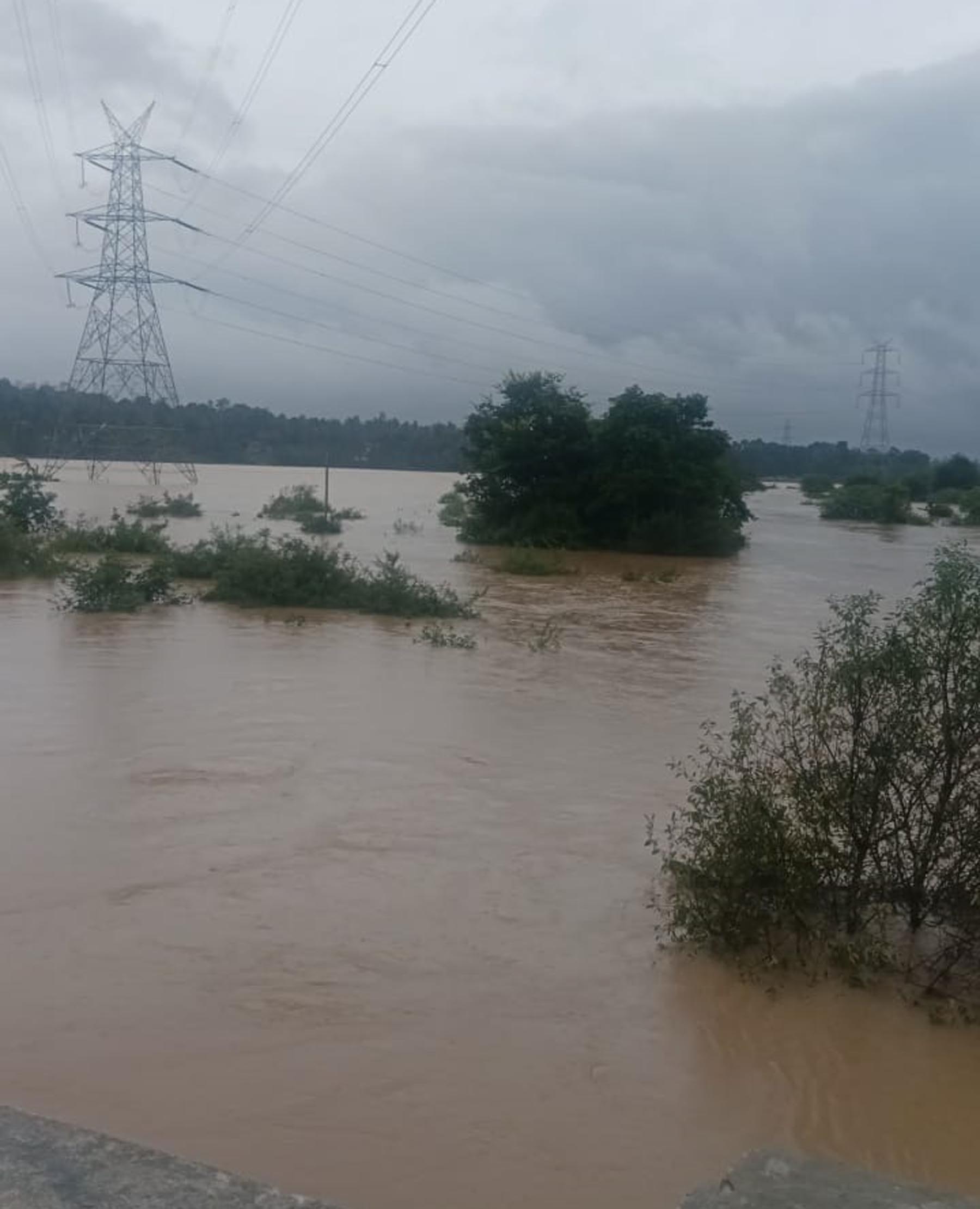 ಗೋಣಿಕೊಪ್ಪಲು ಬಳಿಯ ಕಾನೂರು ಬಳಿ ಲಕ್ಷ್ಮಣತೀರ್ಥ ನದಿ ಪ್ರವಾಹಕ್ಕೆ ಮುಳುಗಿರುವ ಗದ್ದೆಬಯಲು ಮತ್ತು ಕಾಫಿ ತೋಟ