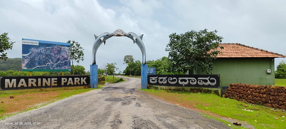 ಅಪ್ಸರಕೊಂಡ ಕಡಲ ವನ್ಯಜೀವಿ ಧಾಮ: ಸರ್ಕಾರದ ಅಧಿಸೂಚನೆ ಘೋಷಣೆ