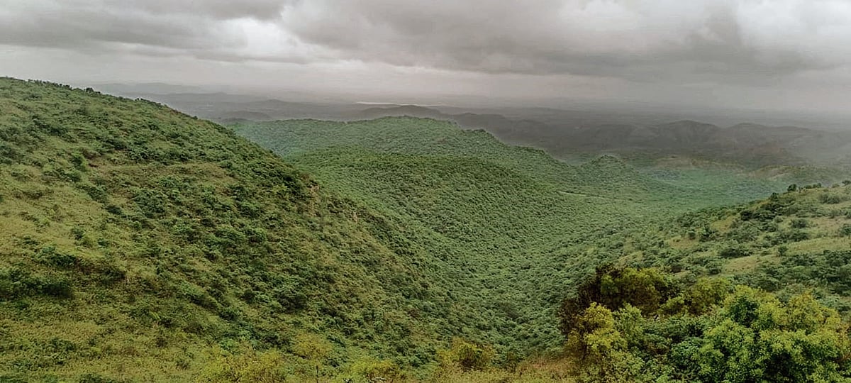 ಜೀವ ವೈವಿಧ್ಯತೆಯ ತಾಣ ಕಪ್ಪತಗುಡ್ಡ: ಉತ್ತರ ಕರ್ನಾಟಕದ ಸಹ್ಯಾದ್ರಿ