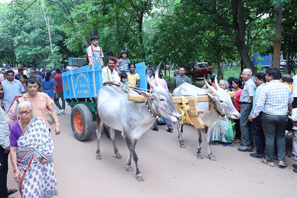 ರೈತ ಸಂತೆ: ಗಮನ ಸೆಳೆದ ಮಾವು, ಹಲಸಿನ ಕೇಕ್‌ಗಳು!