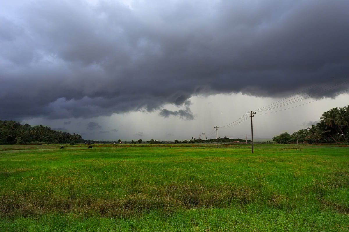 Monsoon Rains | 9 ದಿನ ಮುನ್ನವೇ ದೇಶ ವ್ಯಾಪಿಸಿದ ಮುಂಗಾರು 