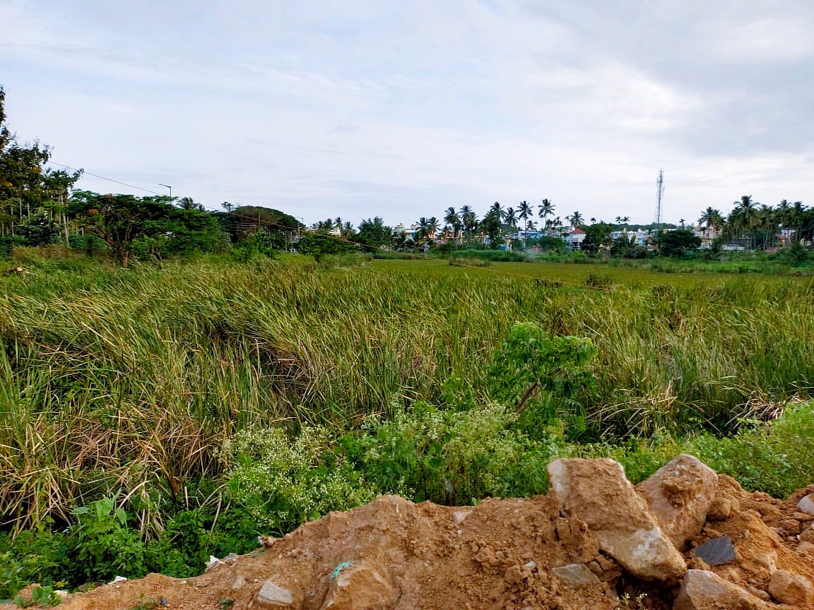 ರಾಮನಗರ: ಕಾಯಕಲ್ಪಕ್ಕೆ ಕಾದಿದೆ ಹೊಂಬಾಳಮ್ಮನ ಕೆರೆ