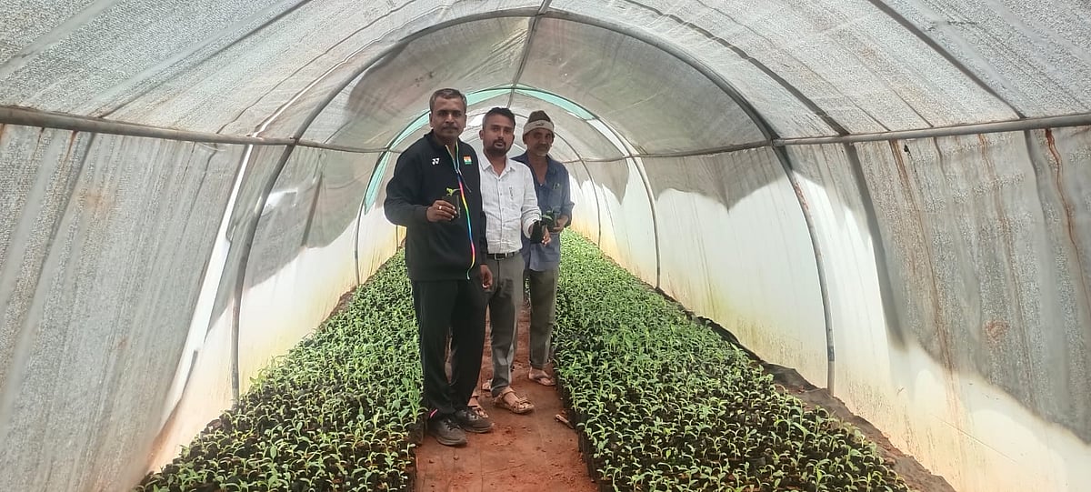 ಬೀದರ್‌: ಜೈವಿಕ ಕೃಷಿ ಕೇಂದ್ರದ ಮೌನ ಕ್ರಾಂತಿ