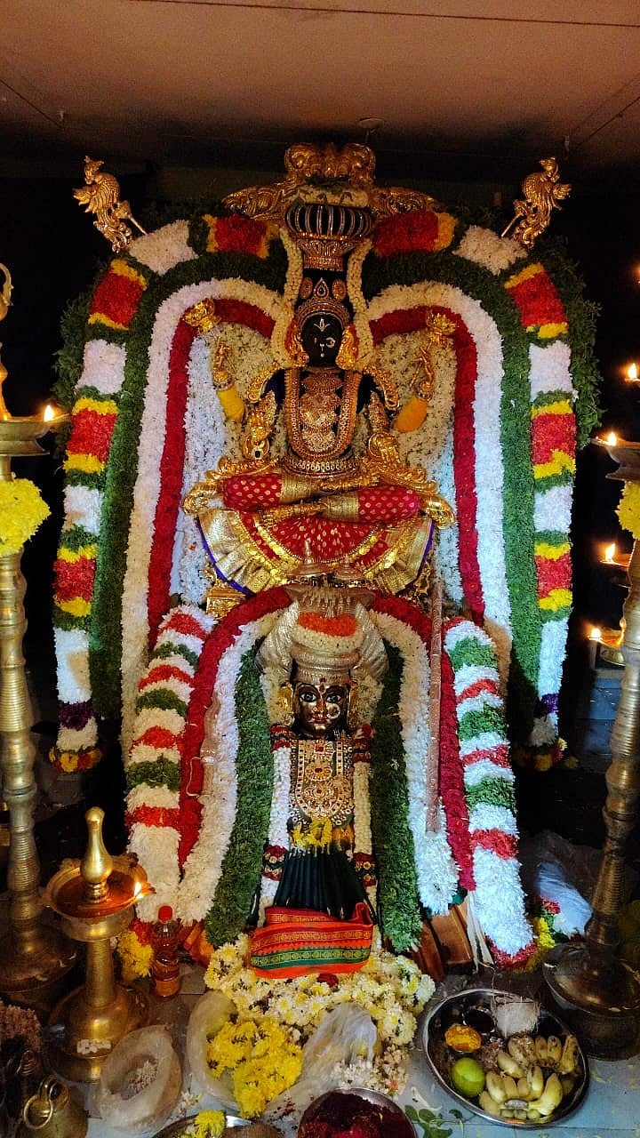 ರಾಮನಗರ: ಬನ್ನಿ ಮಹಾಂಕಾಳಿ ಹಸಿ ಕರಗ