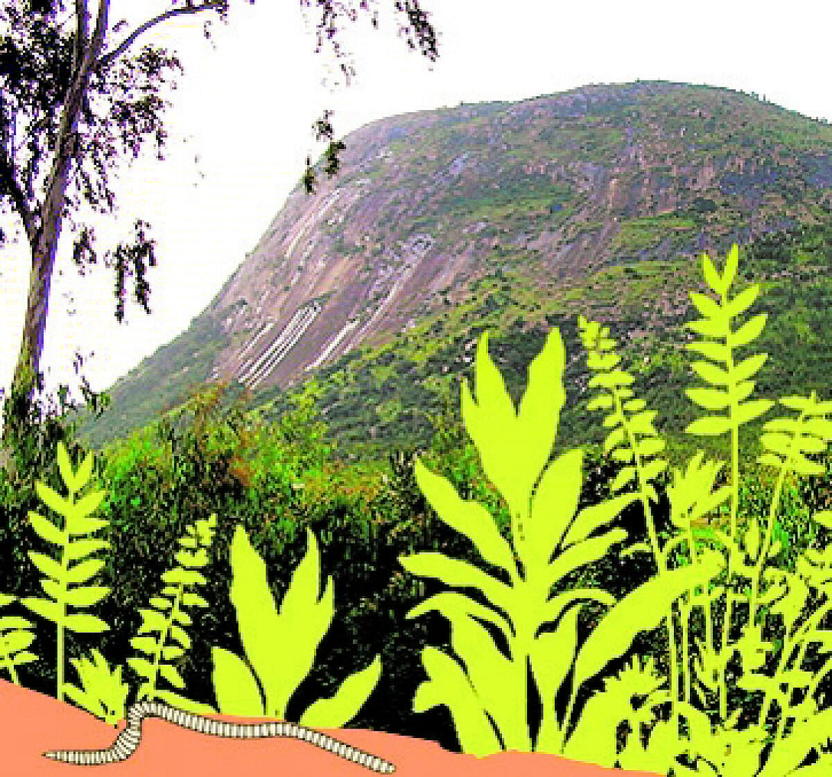 ಸಂಗತ | ಭಾಗ್ಯನಗರ! ಎಲ್ಲಿಹುದು ಭಾಗ್ಯ?