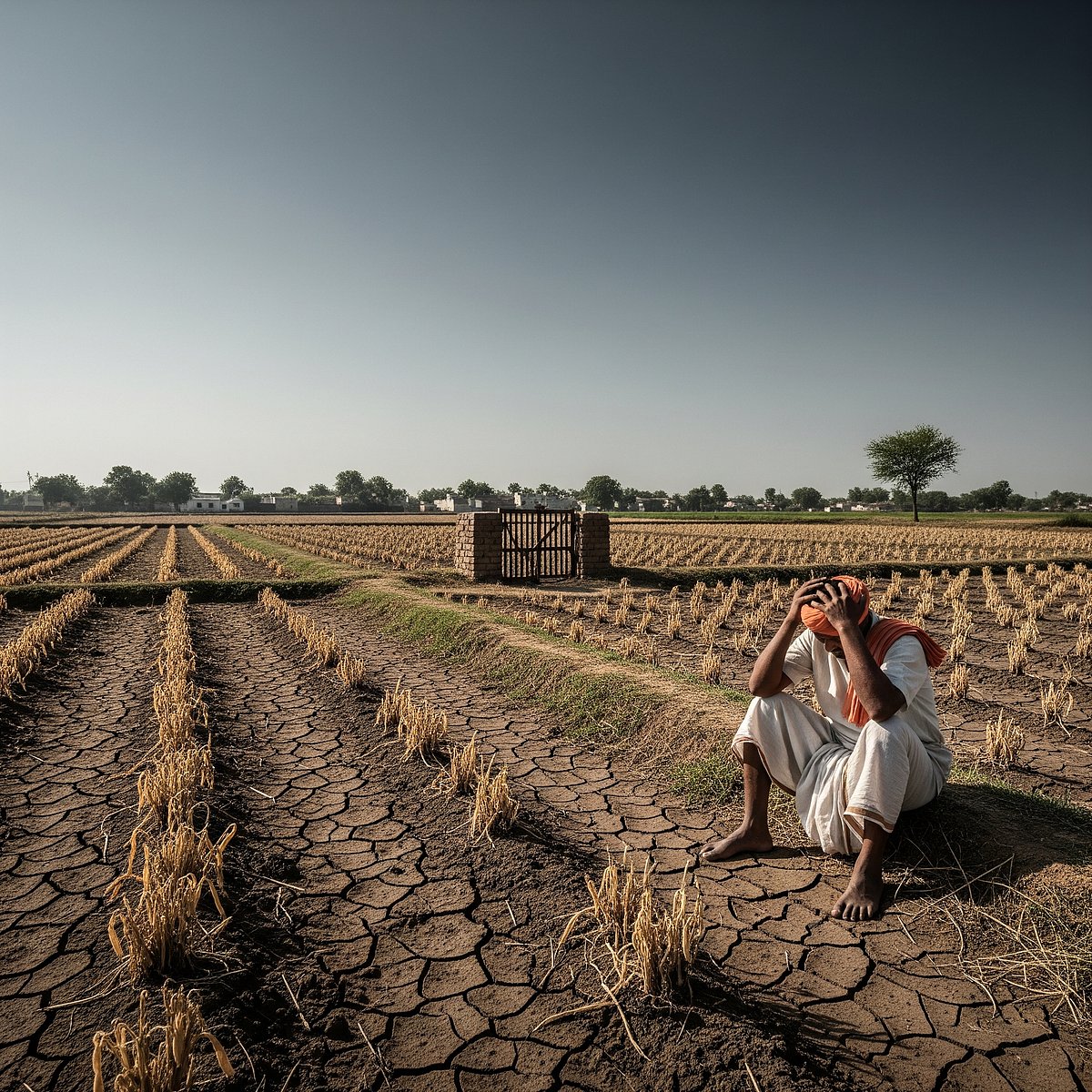 ಮಹಾರಾಷ್ಟ್ರದಲ್ಲಿ 2 ತಿಂಗಳಿನಲ್ಲಿ 479 ರೈತರ ಆತ್ಮಹತ್ಯೆ: ಸರ್ಕಾರ