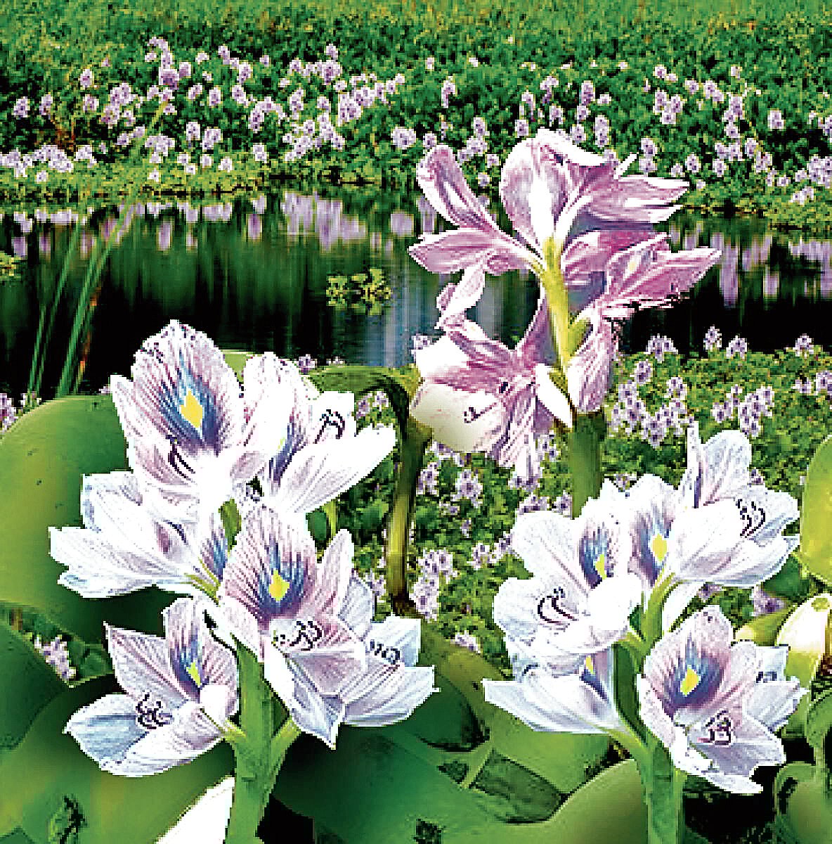 ಸಂಗತ: ನಿಂತ ನೆಲ ನುಂಗುವ ಅಂತರಗಂಗೆ