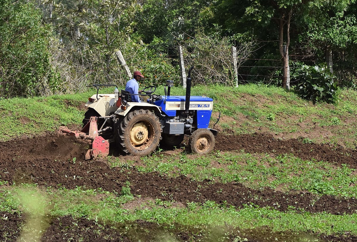 ಶಿವಮೊಗ್ಗ | ಹೆಚ್ಚಿದ ರಾಸಾಯನಿಕ: ತಗ್ಗಿದ ಮಣ್ಣಿನ ಫಲವತ್ತತೆ
