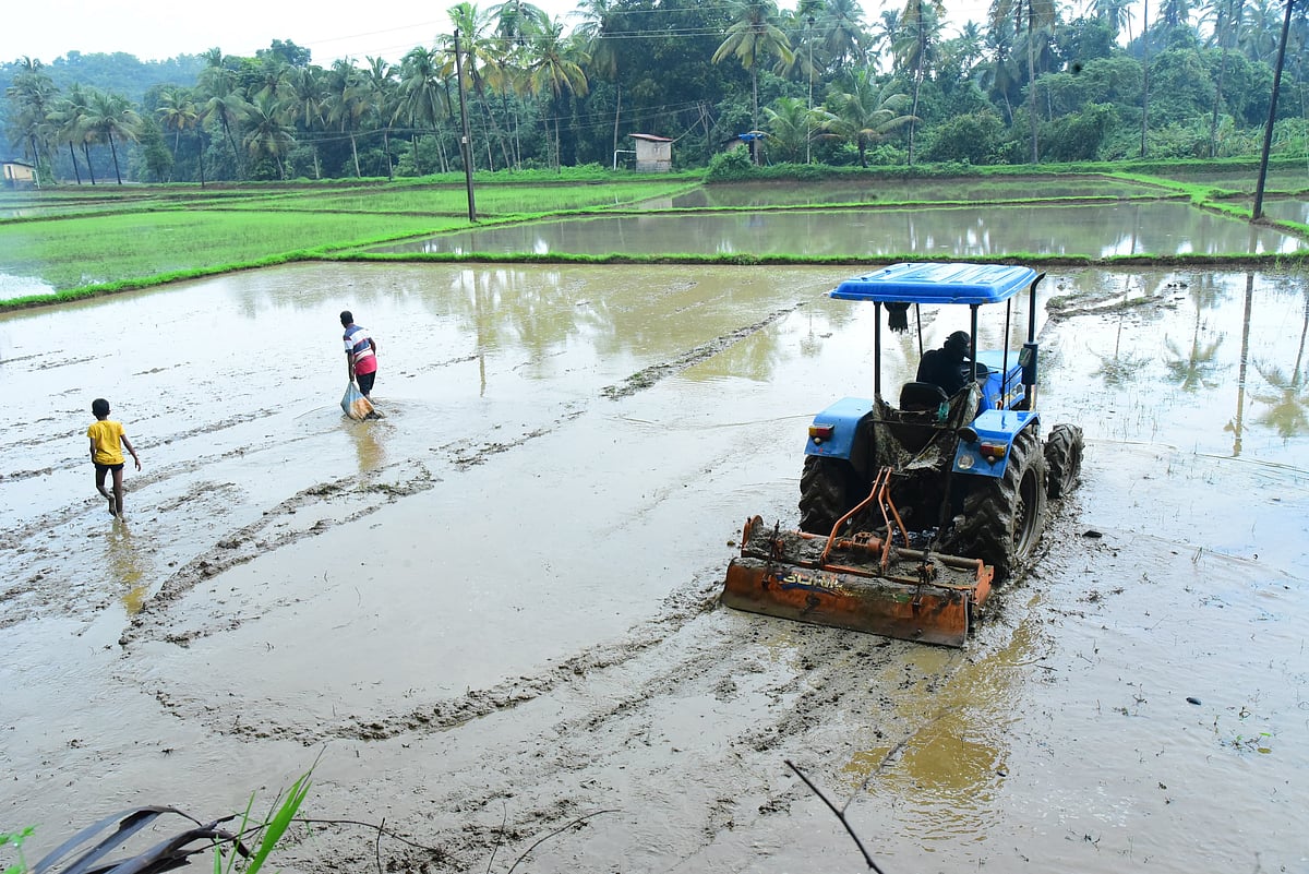 ಉಡುಪಿ | ಮುಂಗಾರು ಚುರುಕು: ಕೃಷಿ ಭೂಮಿ ಹಸನು
