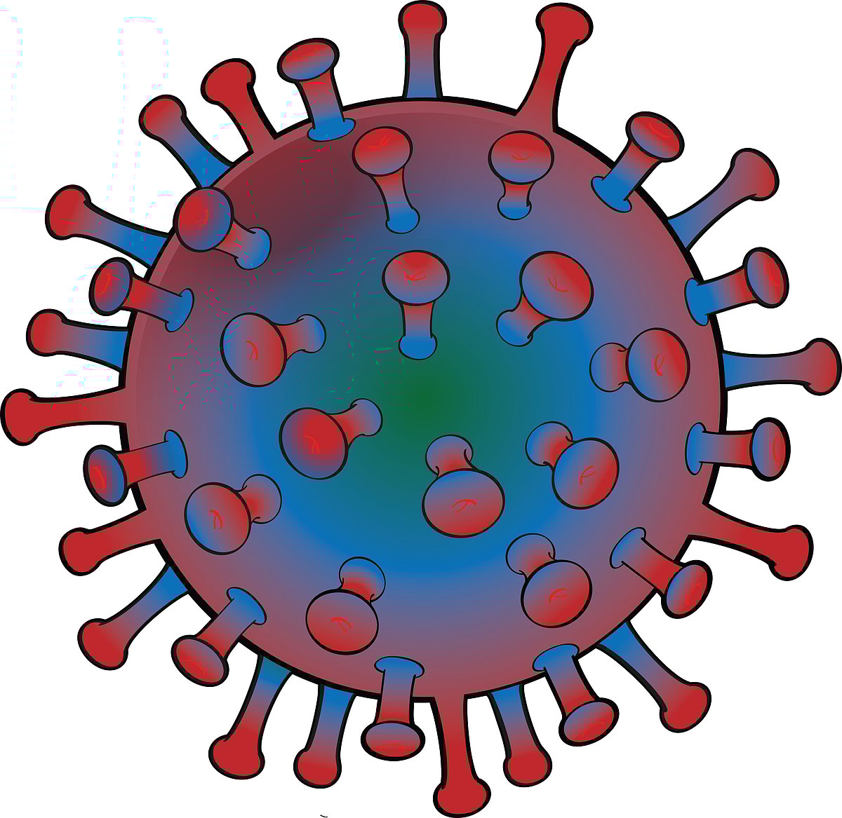 ಕೇರಳ | ನಿಫಾ ರೋಗಿ ಸ್ಥಿತಿ ಗಂಭೀರ; ಕಂಟೈನ್‌ಮೆಂಟ್‌ ವಲಯ ಘೋಷಣೆ