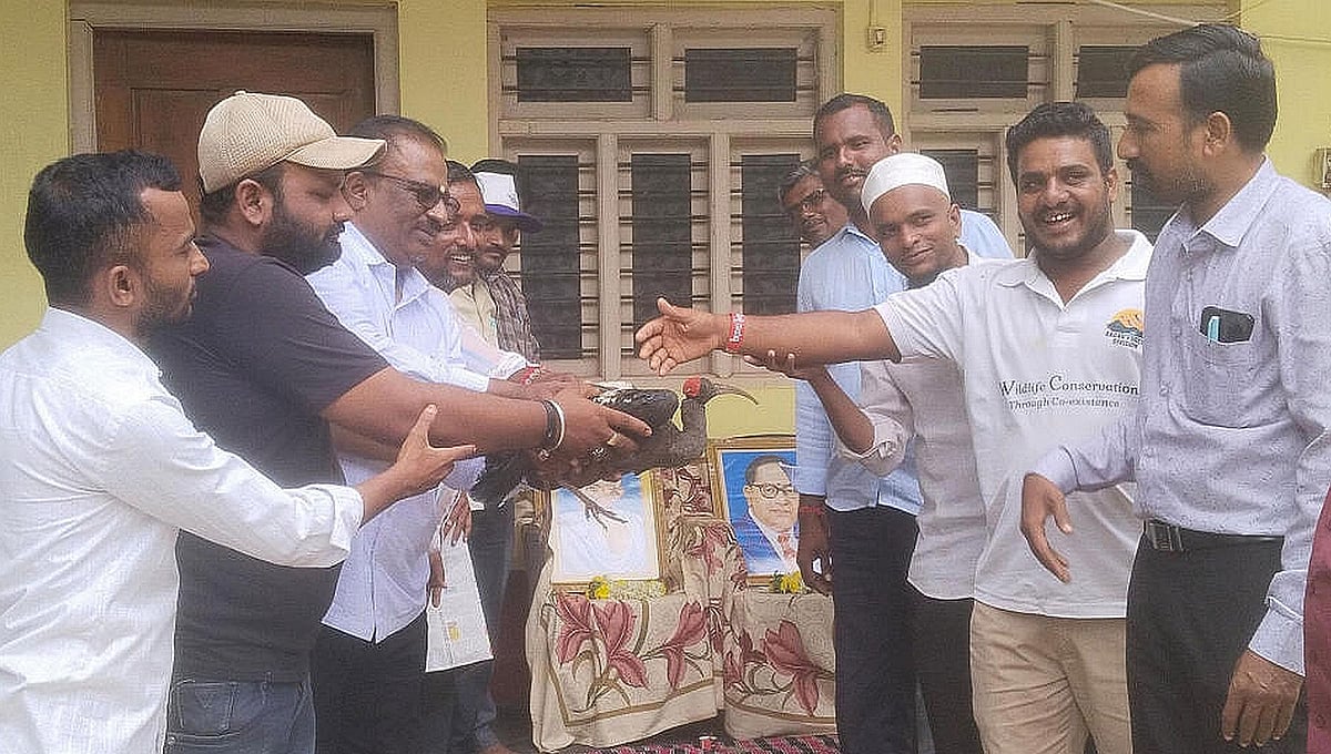 ಮುಂಡರಗಿ: ಕರಿ ಕೆಂಬರಲು ಪಕ್ಷಿ ರಕ್ಷಿಸಿದ ಪ್ರತಿಭಟನಕಾರರು