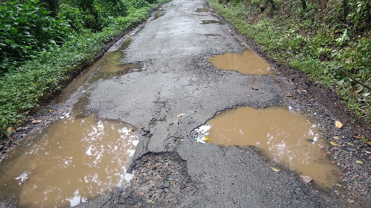 ಸುಂಟಿಕೊಪ್ಪ: ಗುಂಡಿ ಬಿದ್ದ ನಾಕೂರು-ಕಾನ್‌ಬೈಲ್‌ ರಸ್ತೆ