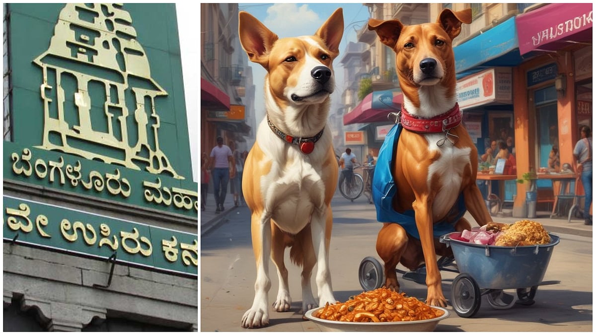 ಬೀದಿನಾಯಿಗಳಿಗೆ ಬಾಡೂಟ.. ಟ್ರೋಲಿಗರಿಗೆ ಆಹಾರವಾಯಿತು ಬಿಬಿಎಂಪಿ ನಿರ್ಧಾರ!