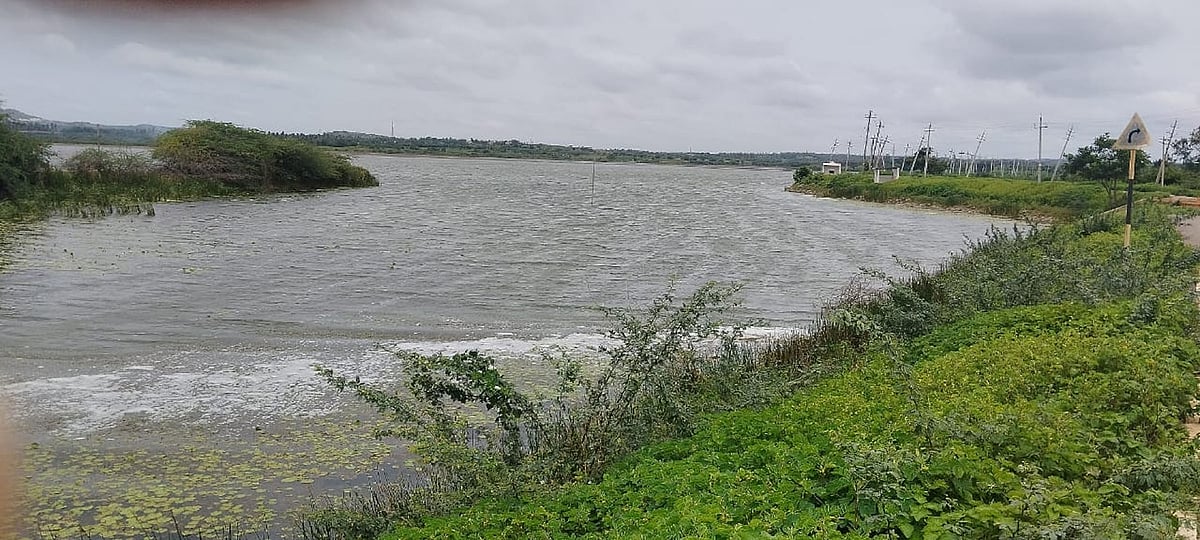 ರಾಣೆಬೆನ್ನೂರು | ಹಾಳಾಗುತ್ತಿದೆ ಹೊನ್ನತ್ತಿ ಕೆರೆ: ಅಭಿವೃದ್ಧಿ ಮರೀಚಿಕೆ