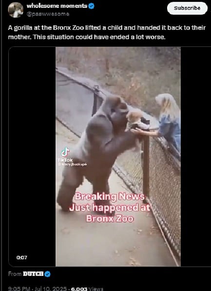 Fact Check | ಗೊರಿಲ್ಲಾ ಮಗುವನ್ನು ತಾಯಿಗೆ ಹಸ್ತಾಂತರಿಸುತ್ತಿರುವ ವಿಡಿಯೊ ಸುಳ್ಳು