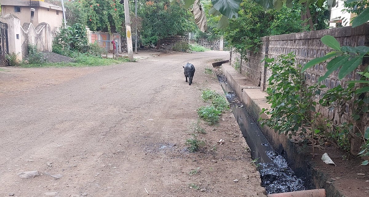 ಬಸವನಬಾಗೇವಾಡಿ | ಬಾಯ್ದೆರೆದ ಚರಂಡಿ: ದುರ್ನಾತ, ರೋಗ ಭೀತಿ