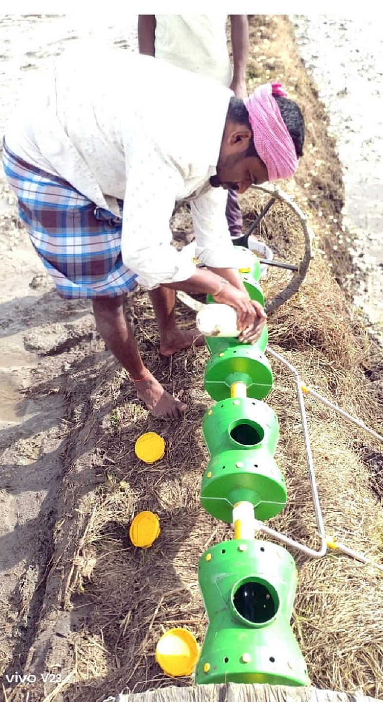 ತ್ಯಾವಣಿಗೆ: ಭತ್ತ ಬಿತ್ತನೆಗೆ ಡ್ರಮ್‌ ಸೀಡರ್‌ ಬಳಕೆ