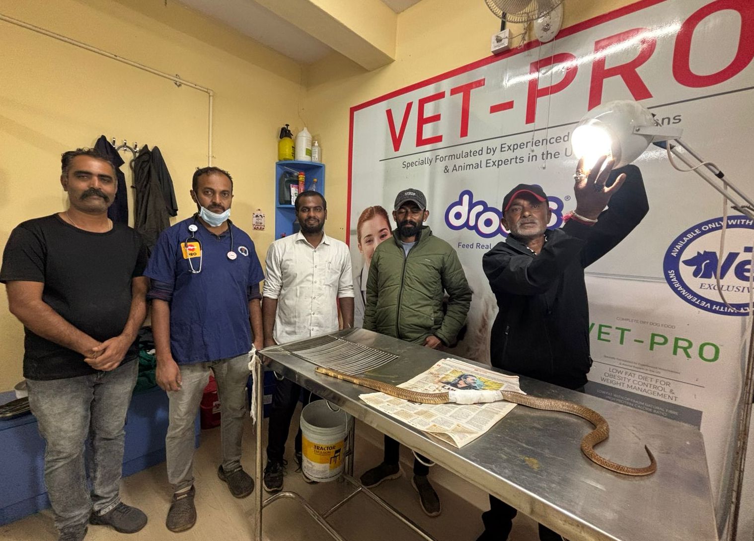 ಗಾಯಗೊಂಡಿದ್ದ ನಾಗರಹಾವಿಗೆ ಶಸ್ತ್ರ ಚಿಕಿತ್ಸೆ  