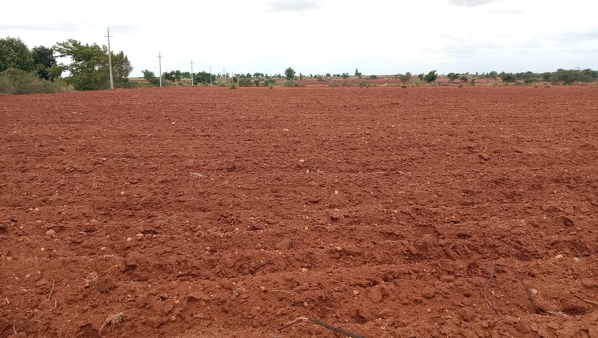 ಚಿತ್ರದುರ್ಗ ಜಿಲ್ಲೆಯಲ್ಲಿ ಬರದ ಛಾಯೆ