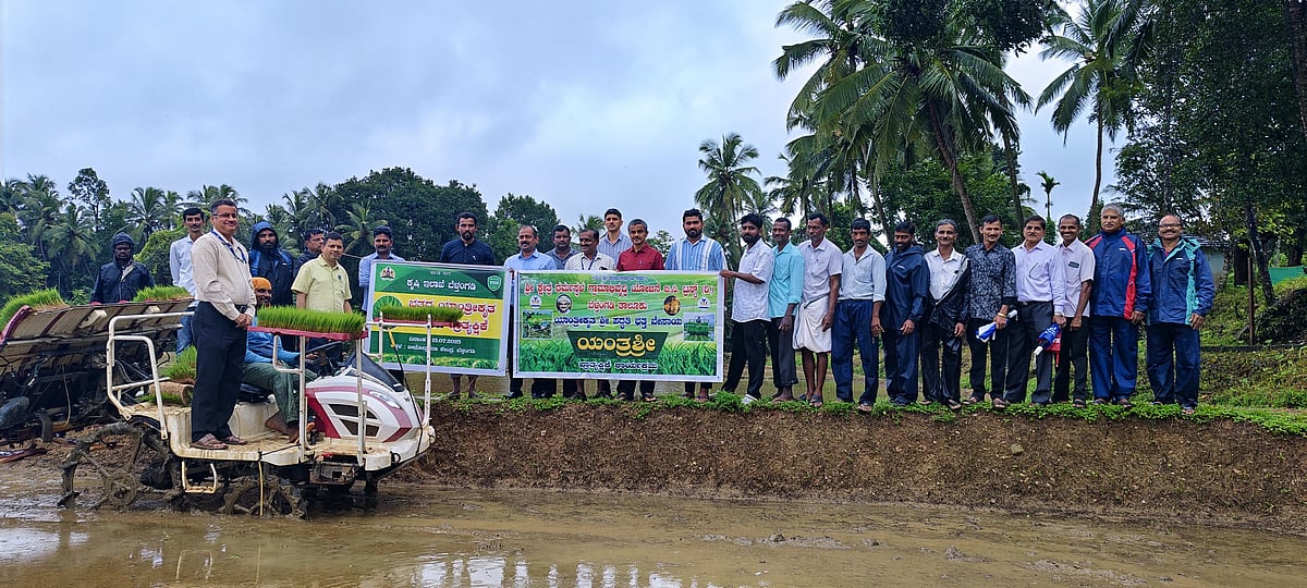 ಬೆಳ್ತಂಗಡಿ: ಯಾಂತ್ರಿಕೃತ ಭತ್ತದ ನಾಟಿ ಪ್ರಾತ್ಯಕ್ಷಿಕೆ