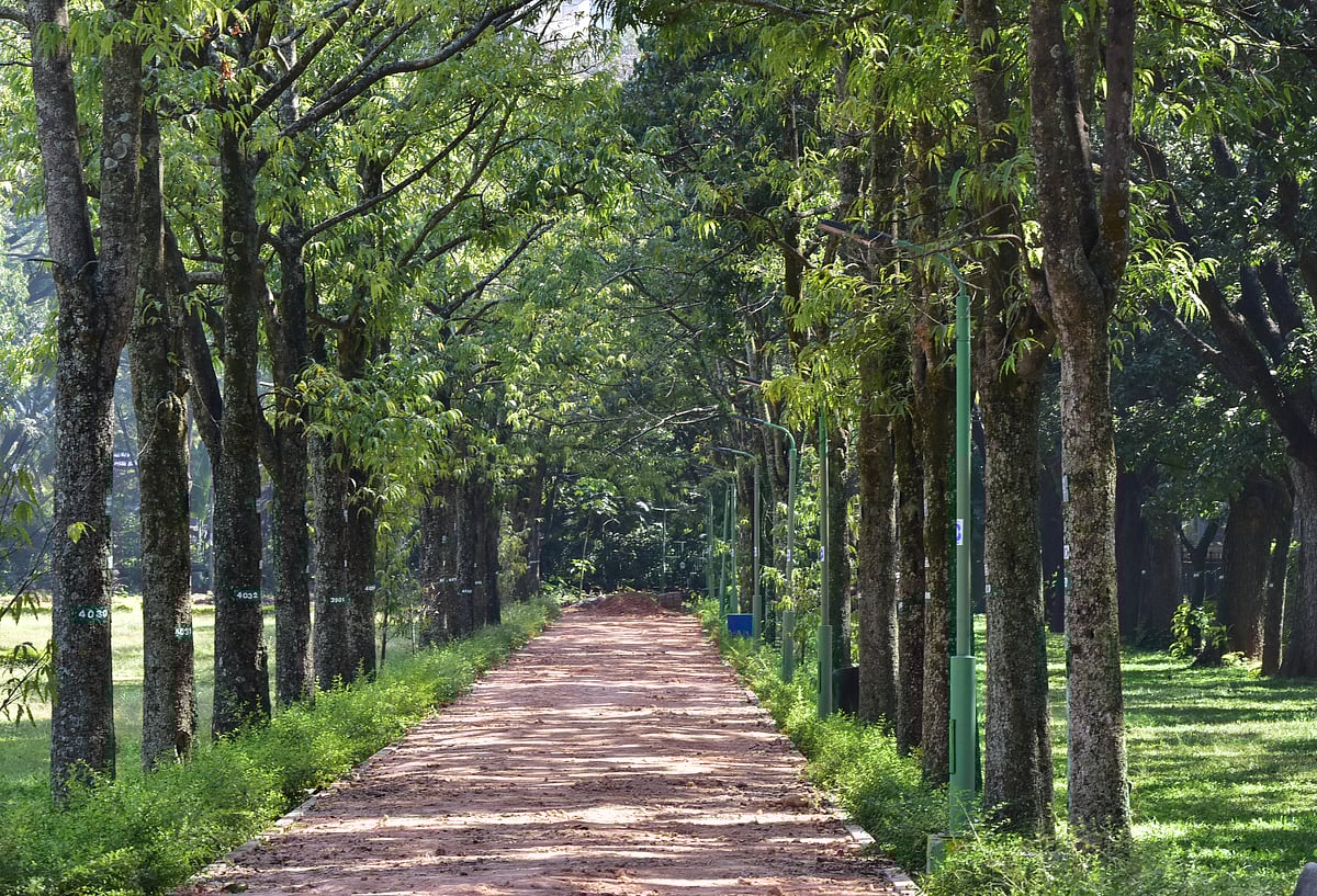 Bengaluru | ‘ಕಬ್ಬನ್‌, ಲಾಲ್‌ಬಾಗ್‌’ನಲ್ಲಿ ಮಾರ್ಗದರ್ಶಿ ಪ್ರವಾಸ 