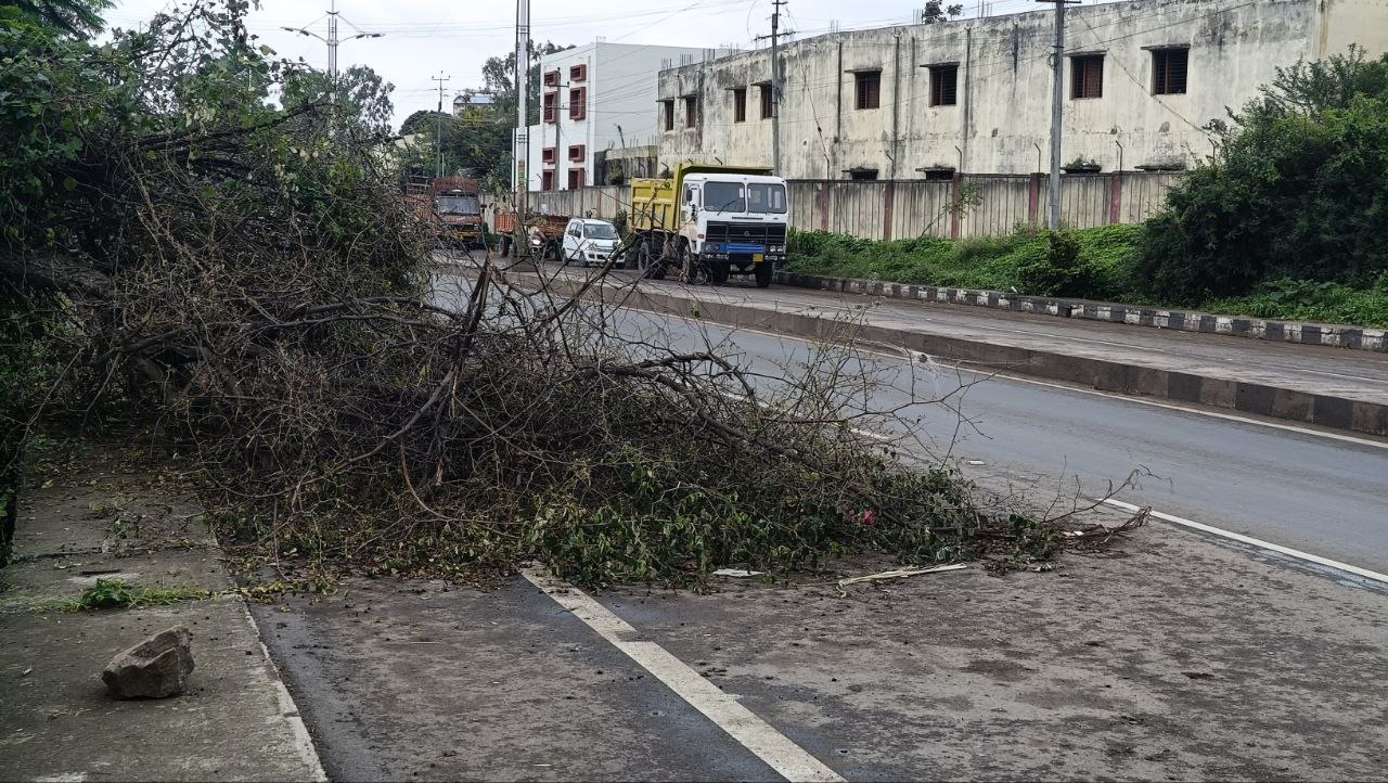 -ಚಿಕ್ಕೋಡಿ ಪಟ್ಟಣದ ತಾಲ್ಲೂಕು ಪಂಚಾಯಿತಿ ಕಚೇರಿಯ ಬಳಿಯಲ್ಲಿ ಹಾದು ಹೋಗಿರುವ ನಿಪ್ಪಾಣಿ-ಮುಧೋಳ ರಾಜ್ಯ ಹೆದ್ದಾರಿಯ ಮೇಲೆ ಉರುಳಿ ಬಿದ್ದಿರುವ ಮರವನ್ನು ತೆರವುಗೊಳಿಸದೇ ಬಿಟ್ಟಿರುವುದು.