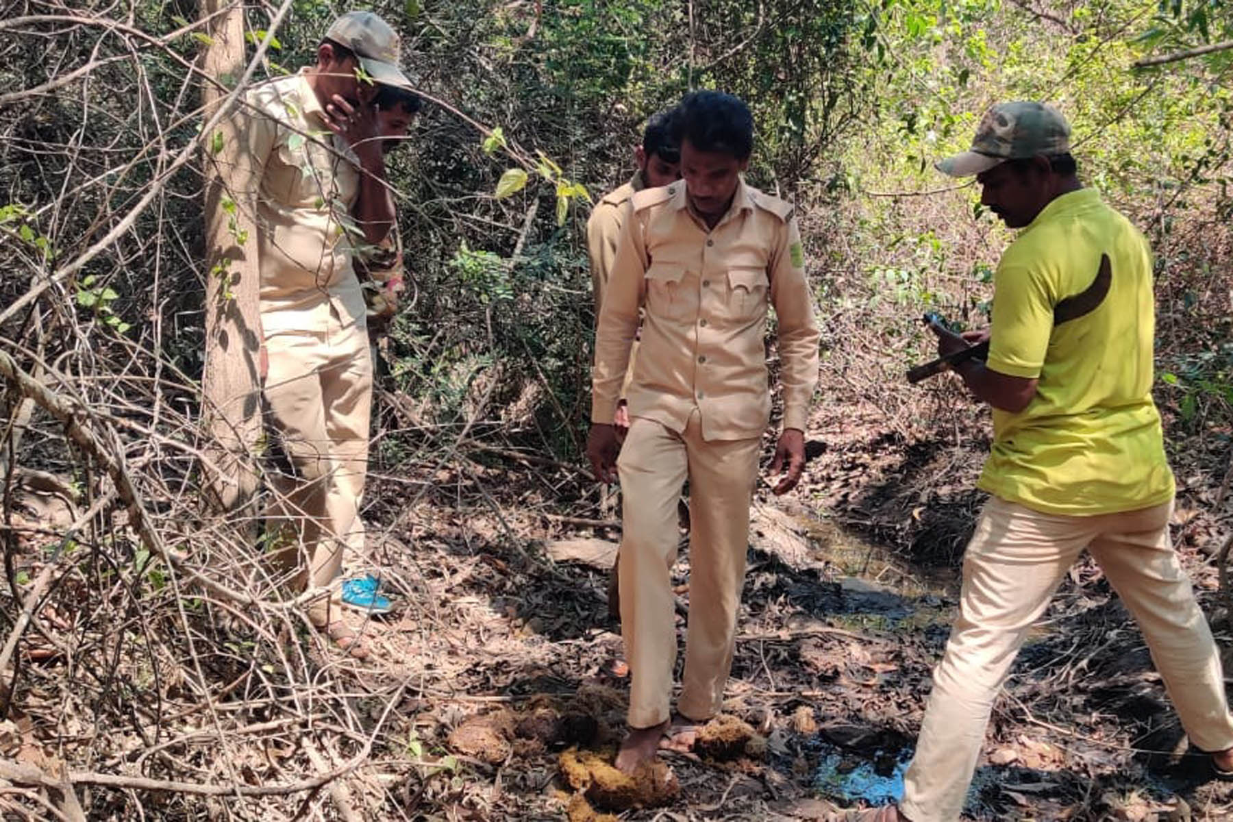 ಚನ್ನಗಿರಿ ತಾಲ್ಲೂಕು ಉಬ್ರಾಣಿ ಹೋಬಳಿ ಅರಣ್ಯ ಪ್ರದೇಶದಲ್ಲಿ ಕಾಡಾನೆಯ ಹೆಜ್ಜೆಯನ್ನು ಅರಣ್ಯ ಇಲಾಖೆ ಸಿಬ್ಬಂದಿ  ಪರಿಶೀಲಿಸಿದರು