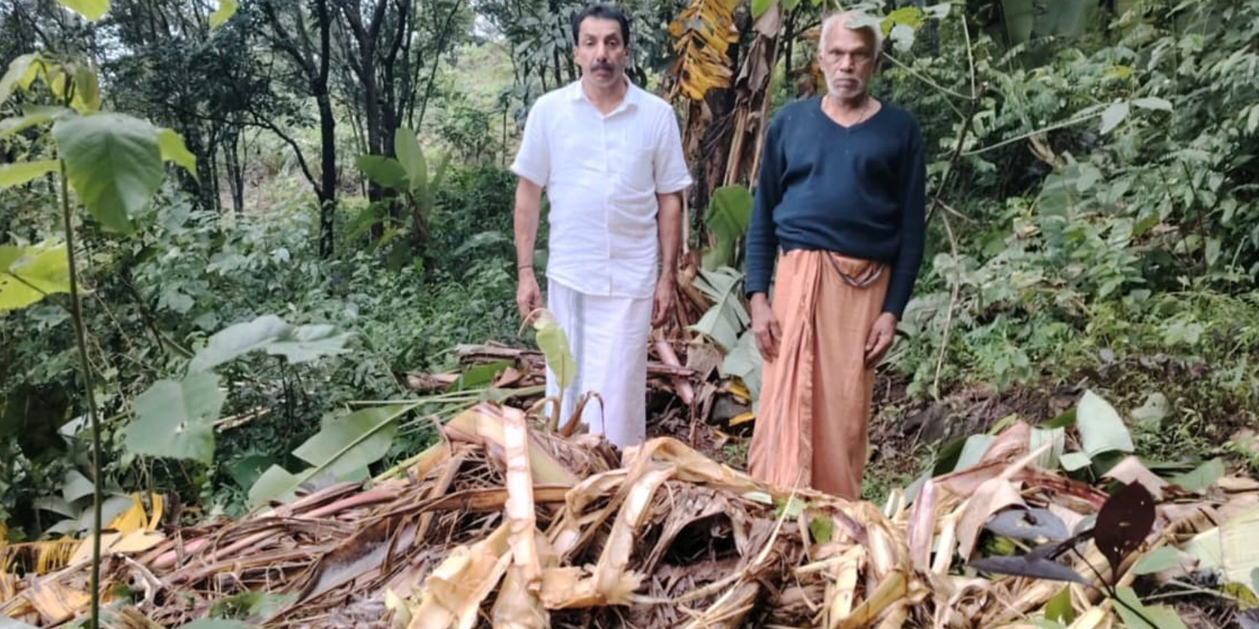 ಕರಿಕೆ ಗ್ರಾಮ ಪಂಚಾಯಿತಿ ವ್ಯಾಪ್ತಿಯಲ್ಲಿ ಕಾಡಾನೆಗಳು ಬಾಳೆಗಿಡಗಳನ್ನು ನಾಶಪಡಿಸಿವೆ
