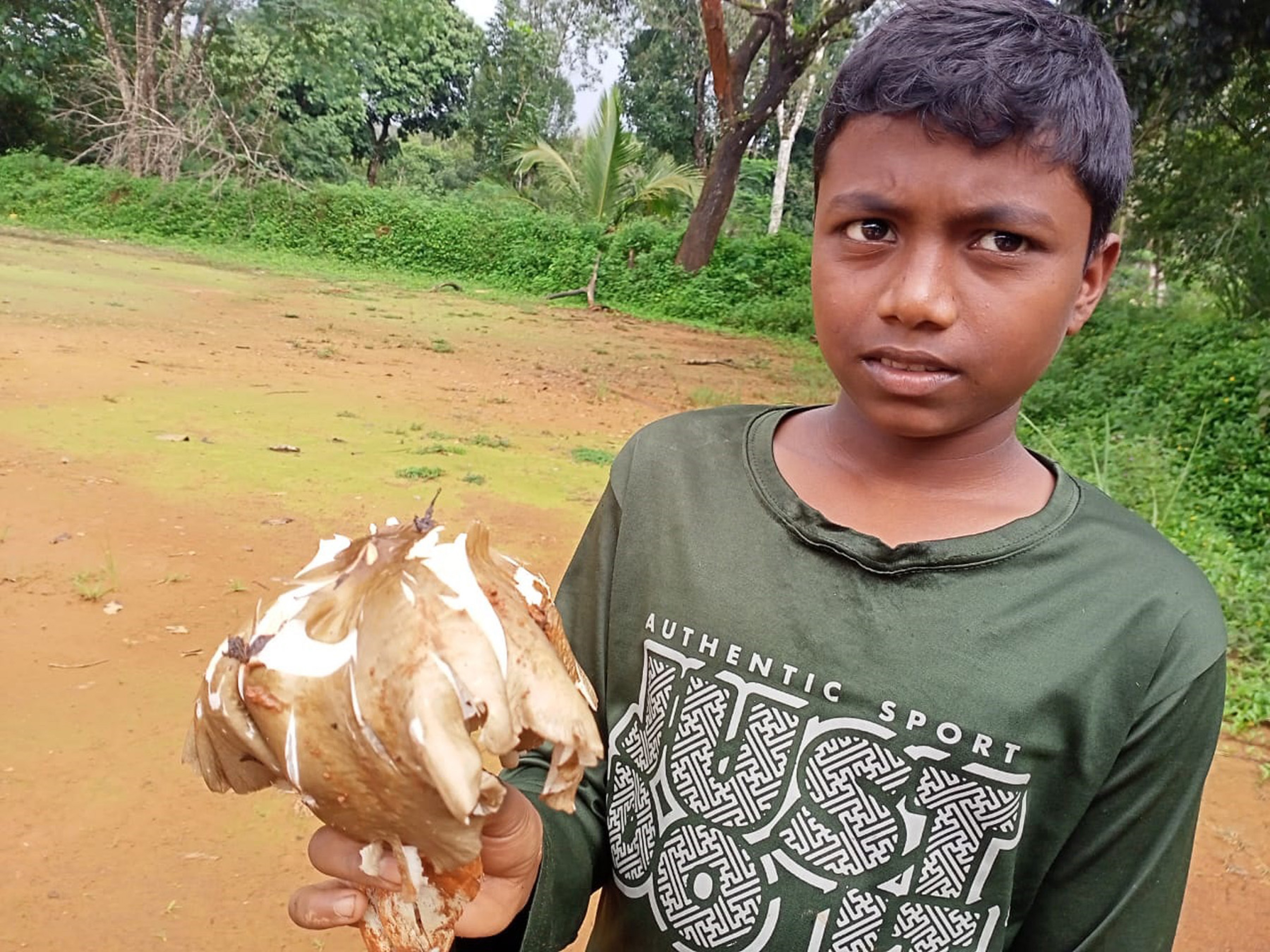 ನಾಪೋಕ್ಲು ಸಮೀಪದ ಬಲ್ಲಮಾವಟಿ ಗ್ರಾಮದಲ್ಲಿ ಪ್ರತ್ಯಕ್ಷ ಎಂಬ ಬಾಲಕ ಶಾಲೆಗೆ ರಜೆ ಇದ್ದ ಕಾರಣ ಹುಡುಕಾಟ ನಡೆಸಿ ದೊಡ್ಡದಾದ ಅಣಬೆಯೊಂದನ್ನು ಪತ್ತೆ ಹಚ್ಚಿ ಸಂಭ್ರಮಿಸಿದ