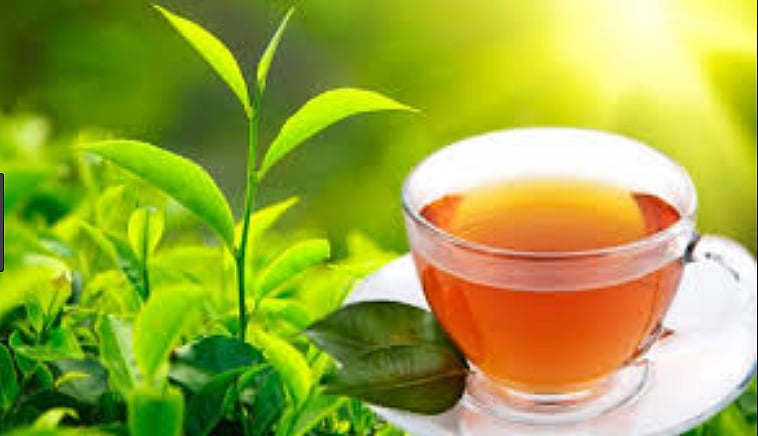 2024–25ರ ಆರ್ಥಿಕ ವರ್ಷದಲ್ಲಿ 25 ಕೋಟಿ ಟನ್‌ ಚಹಾ ರಫ್ತು: ವರದಿ