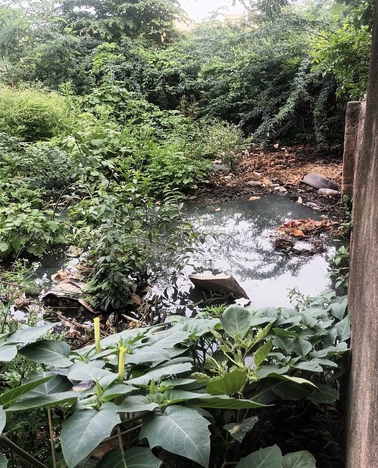 ಇಂಡಿ -ಸಾಲೋಟಗಿ ಗಾಡಿ ರಸ್ತೆ ಒತ್ತುವರಿ: ತೆರವುಗೊಳಿಸಲು ಸಾರ್ವಜನಿಕರ ಆಗ್ರಹ