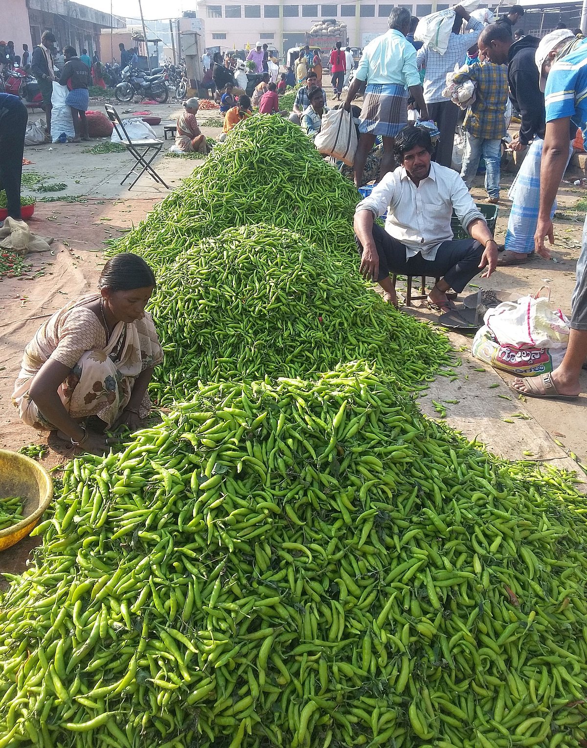 ಮಾರುಕಟ್ಟೆ ವಿಶ್ಲೇಷಣೆ: ಹಸಿರು ಮೆಣಸಿನಕಾಯಿ ಬಲು ಖಾರ