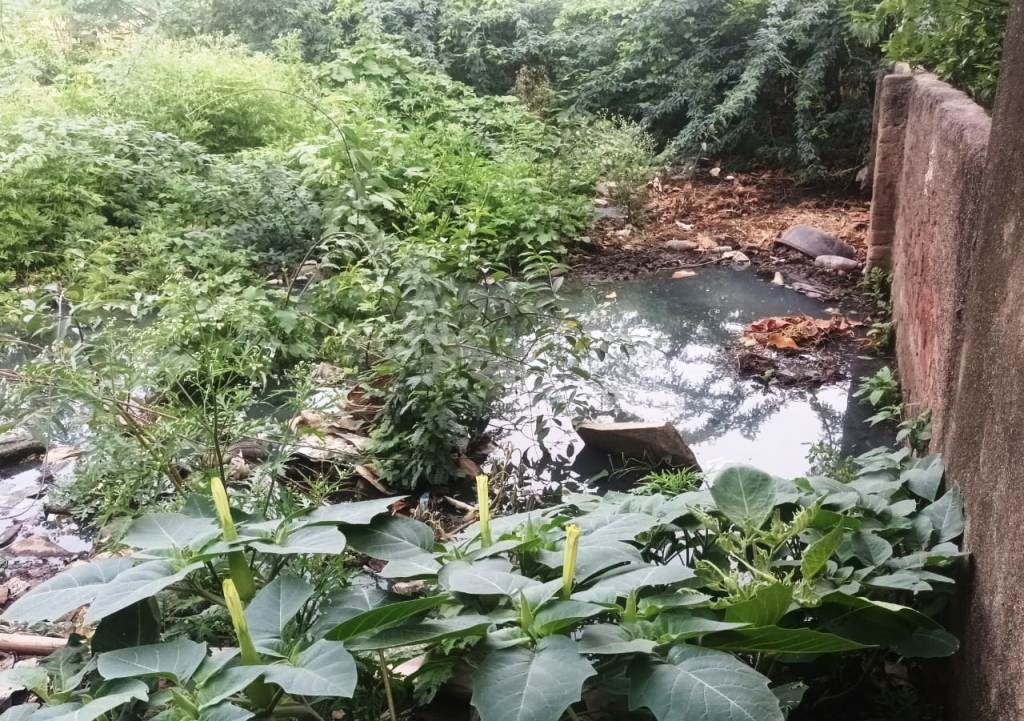 ಇಂಡಿ ಪಟ್ಟಣದ ಮಿನಿ ವಿಧಾನ ಸೌಧದ ಕಂಪೌಂಡ ಗೋಡೆಗೆ ಅಂಟಿಕೊಂಡಿರುವ ಇಂಡಿ-ಸಾಲೋಟಗಿ ಗಾಡಿ ರಸ್ತೆ ಕಲ್ಲು ಮುಳ್ಳು ಕಂಟಿಗಳಿಂದ ಆಕ್ರಮಿಸಿಕೊಂಡು ಗಟಾರದ ನೀರು ಮುಂದೆ ಸಾಗಲು ಬಿಡದೇ ಗಬ್ಬು ವಾಸನೆ ಹರಡಿರುವದು.  