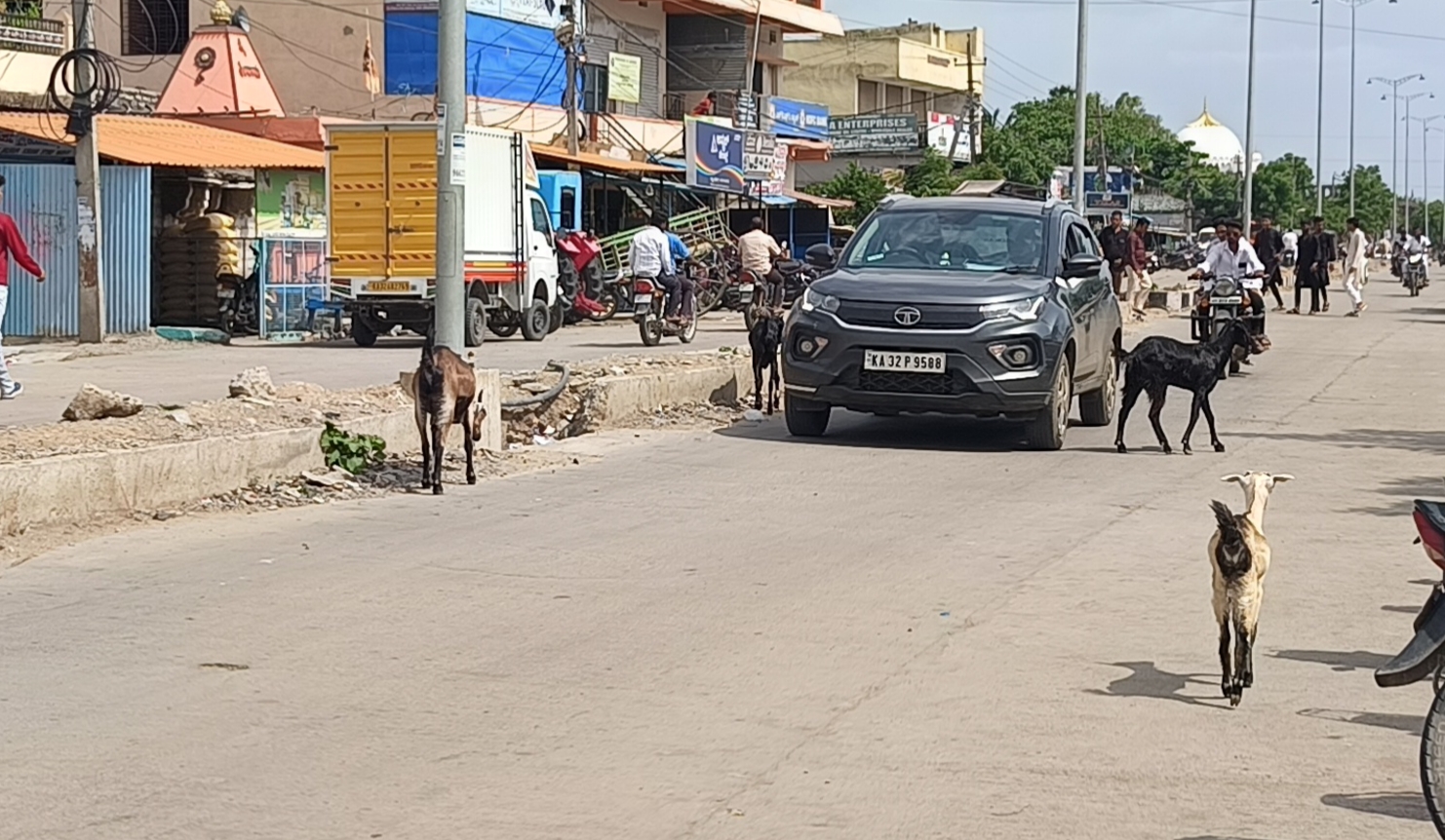 ವಾಡಿ ಪಟ್ಟಣದ ಕಲಬುರಗಿ-ಯಾದಗಿರಿ ಹೆದ್ದಾರಿ ಮೇಲೆ ಕುರಿಗಳ ಹಿಂಡಿನಿಂದ ವಾಹನ ಸವಾರಕ್ಕೆ ತೀವ್ರ ತೊಂದರೆಯಾಗಿರುವುದು
