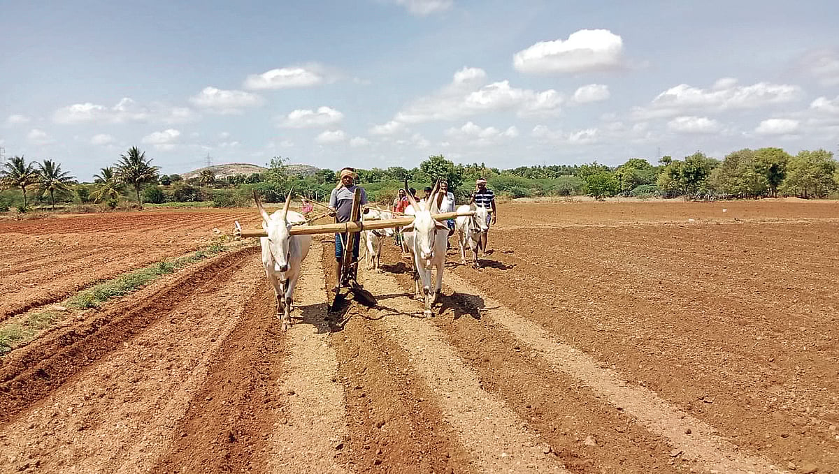 ಆಳ-ಅಗಲ | ಮುಂಗಾರಿನಲ್ಲೇ ಮುನಿದ ವರುಣ