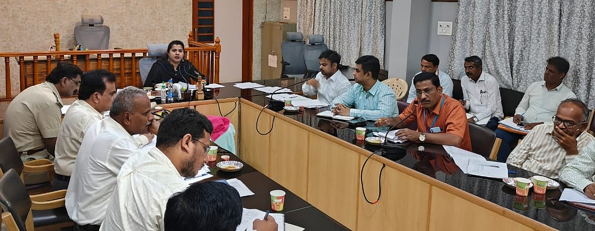 ಕಲಬುರಗಿ | ಎಲೆಕ್ಟ್ರಿಕ್ ಆಟೊಗಳು ಪರ್ಮಿಟ್ ಪಡೆಯುವುದು ಕಡ್ಡಾಯ: ಜಿಲ್ಲಾಧಿಕಾರಿ