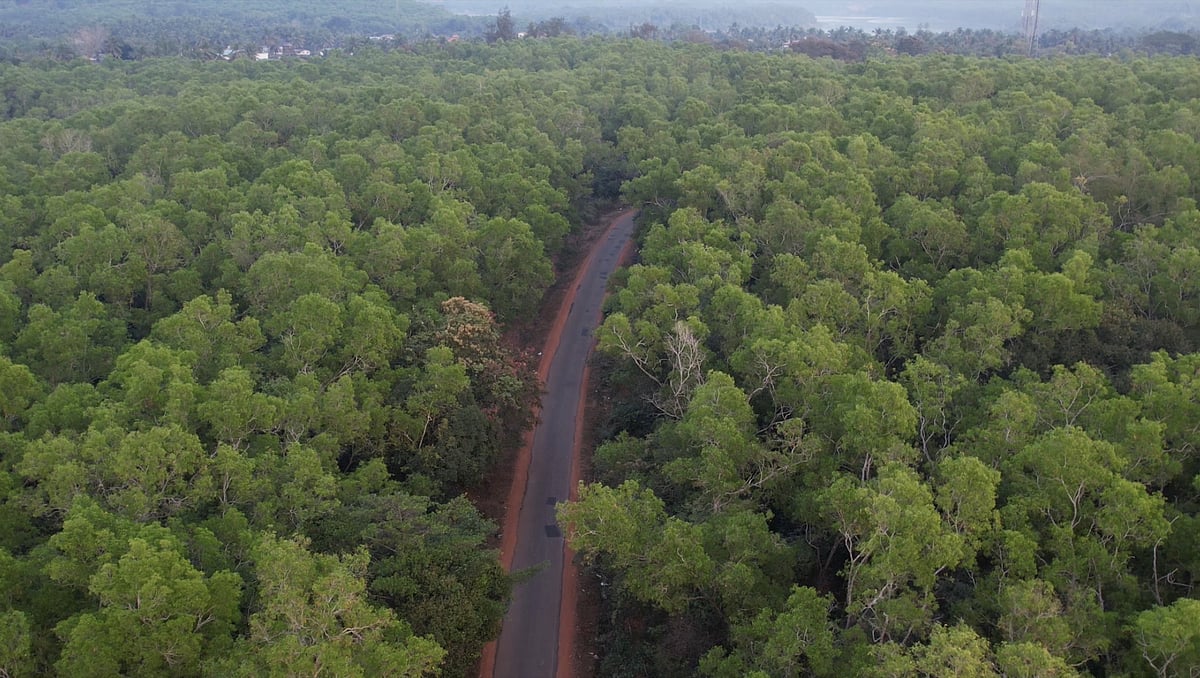 1.73 ಲಕ್ಷ ಹೆಕ್ಟೇರ್‌ ಅರಣ್ಯ ಜಮೀನು ಪರಿವರ್ತನೆ: ಪರಿಸರ ಸಚಿವಾಲಯ ಮಾಹಿತಿ
