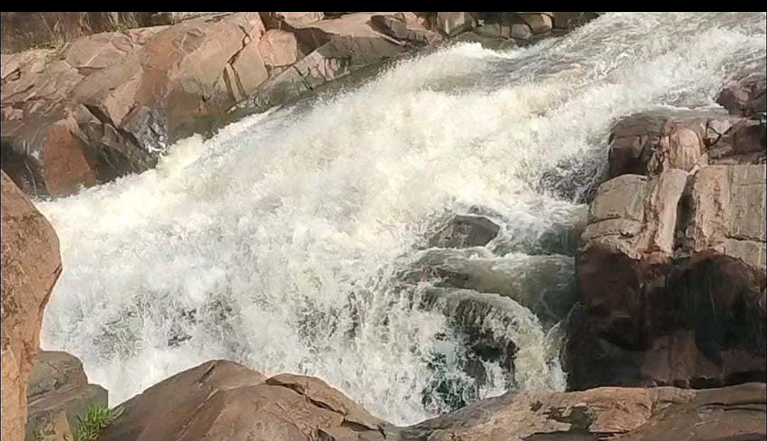 ಯರಗೋಳ | ಕೈಬೀಸಿ ಕರೆಯುವ ಬೋರ್ಗರೆಯುವ ಜಲ