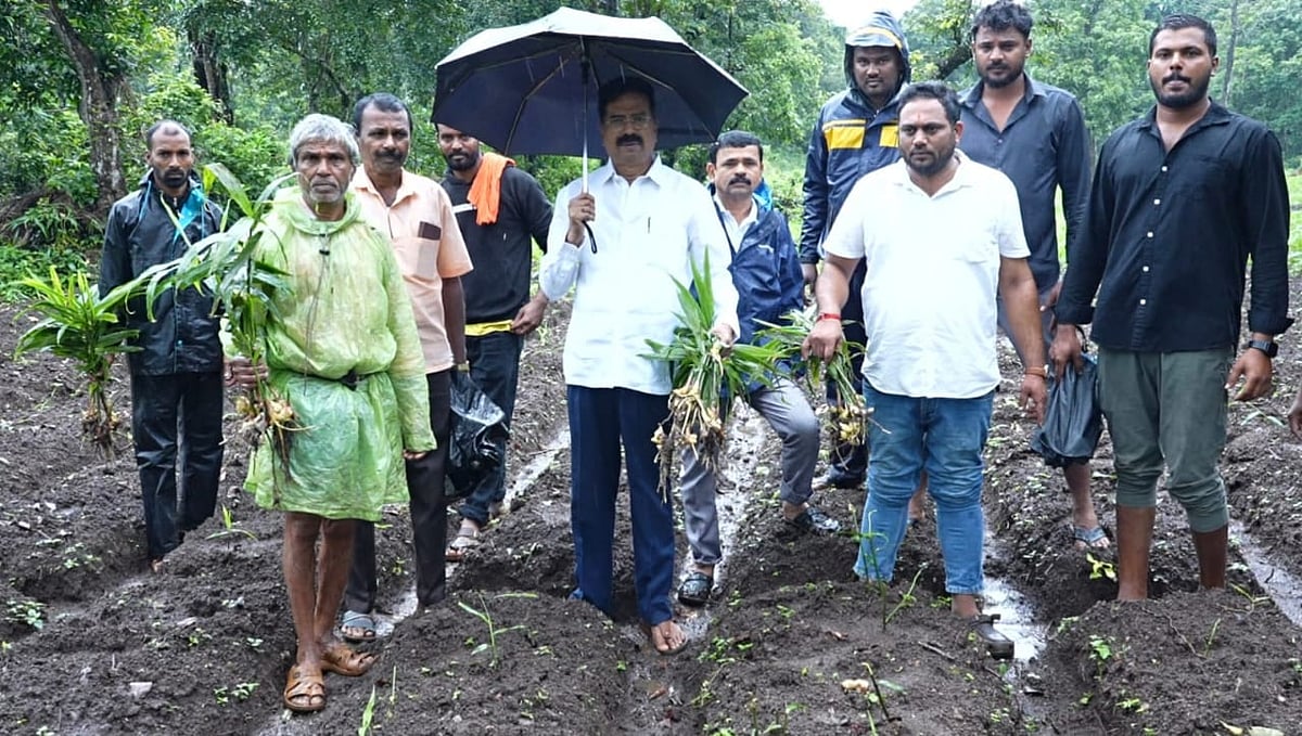 ಸಾಗರ | ಬೆಳೆ ನಾಶ: ಹಾಲಪ್ಪ ಹರತಾಳು ಖಂಡನೆ