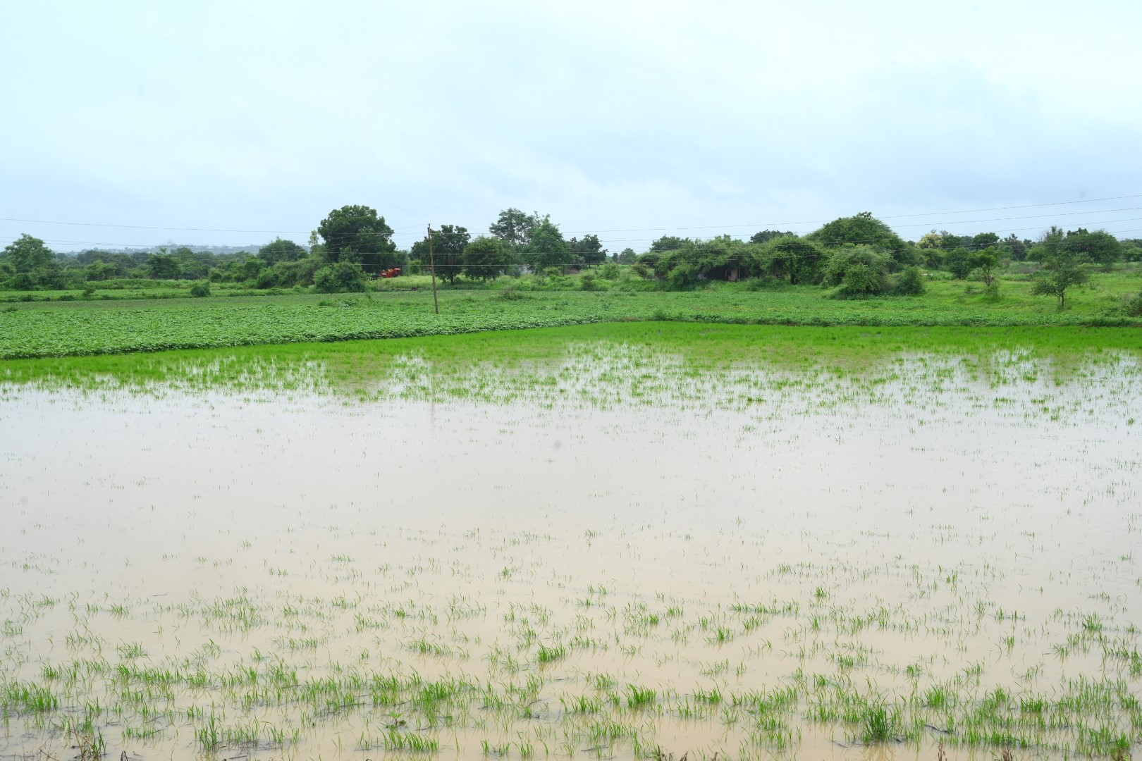 ಬೀದರ್‌ ತಾಲ್ಲೂಕಿನ ಮರಕಲ್‌ ಸಮೀಪದ ಹೊಲ ಕೆರೆಯಂತಾಗಿದೆ