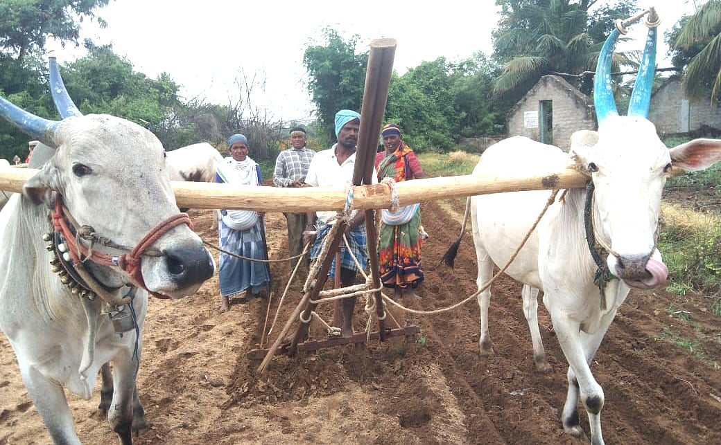 ಮೊಳಕಾಲ್ಮುರು: ಬಿತ್ತನೆಗೆ ಹದ ಮಳೆ ಕೊರತೆ