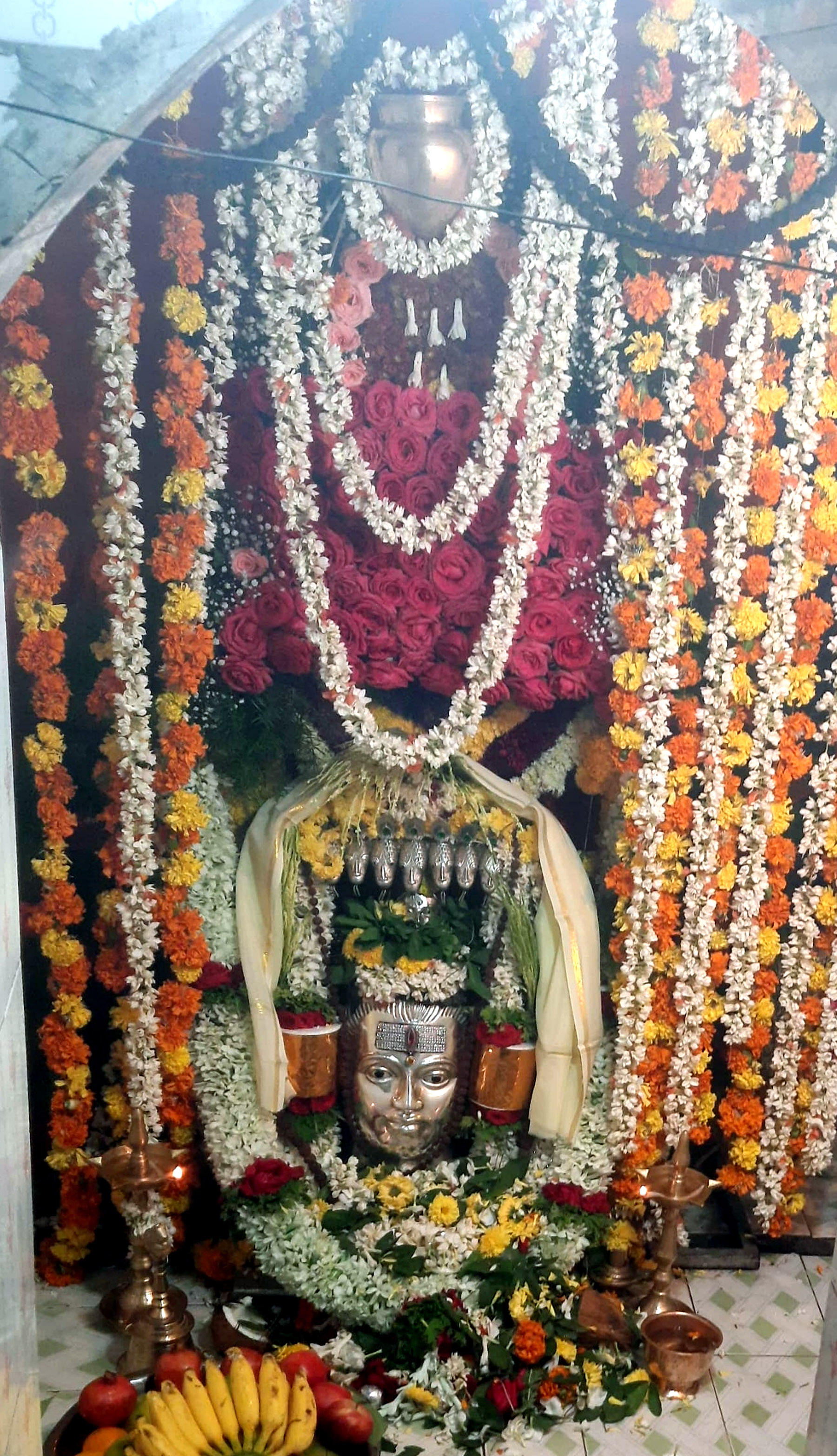 ಮಹದೇಶ್ವರರ ಉದ್ಭವ ಮೂರ್ತಿಗೆ ಫಲ ಪುಷ್ಪಗಳ ಅಲಂಕಾರ ಮಾಡಲಾಗಿತ್ತು.