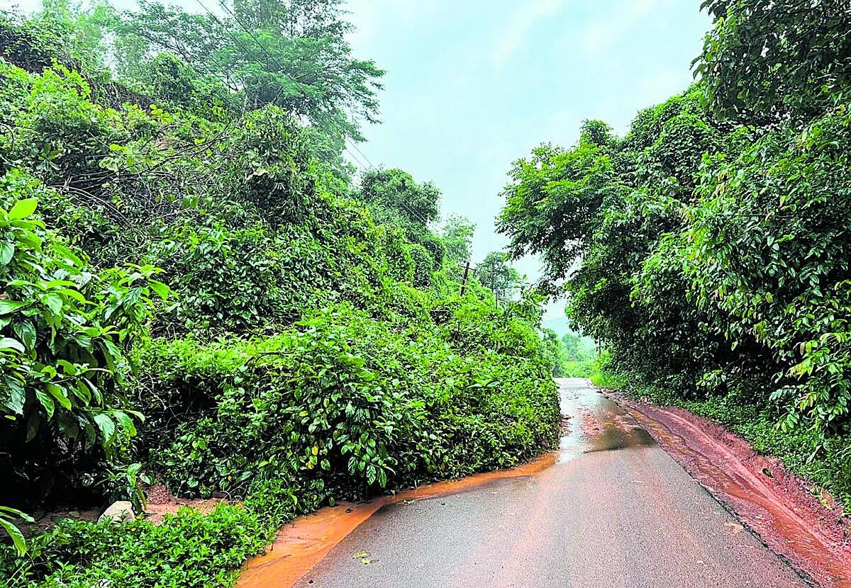 Karnataka Rains | ಕರಾವಳಿ, ಚಿಕ್ಕಮಗಳೂರಲ್ಲಿ ಭಾರಿ ಮಳೆ