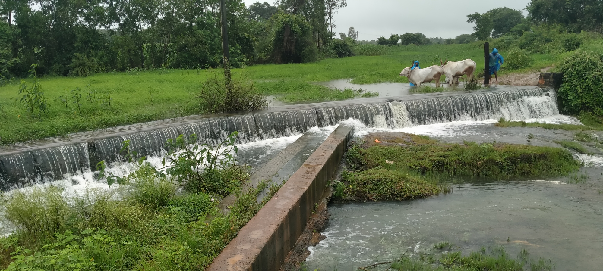 ಕುನ್ನೂರು ಶ್ಯಾಡಂಬಿ ಗ್ರಾಮಗಳ ಮಧ್ಯದಲ್ಲಿರುವ ಬೆಣ್ಣೆ ಹಳ್ಳ ಭಾರಿ ಮಳೆಗೆ ತುಂಬಿ ಹರಿಯುತ್ತಿದೆ