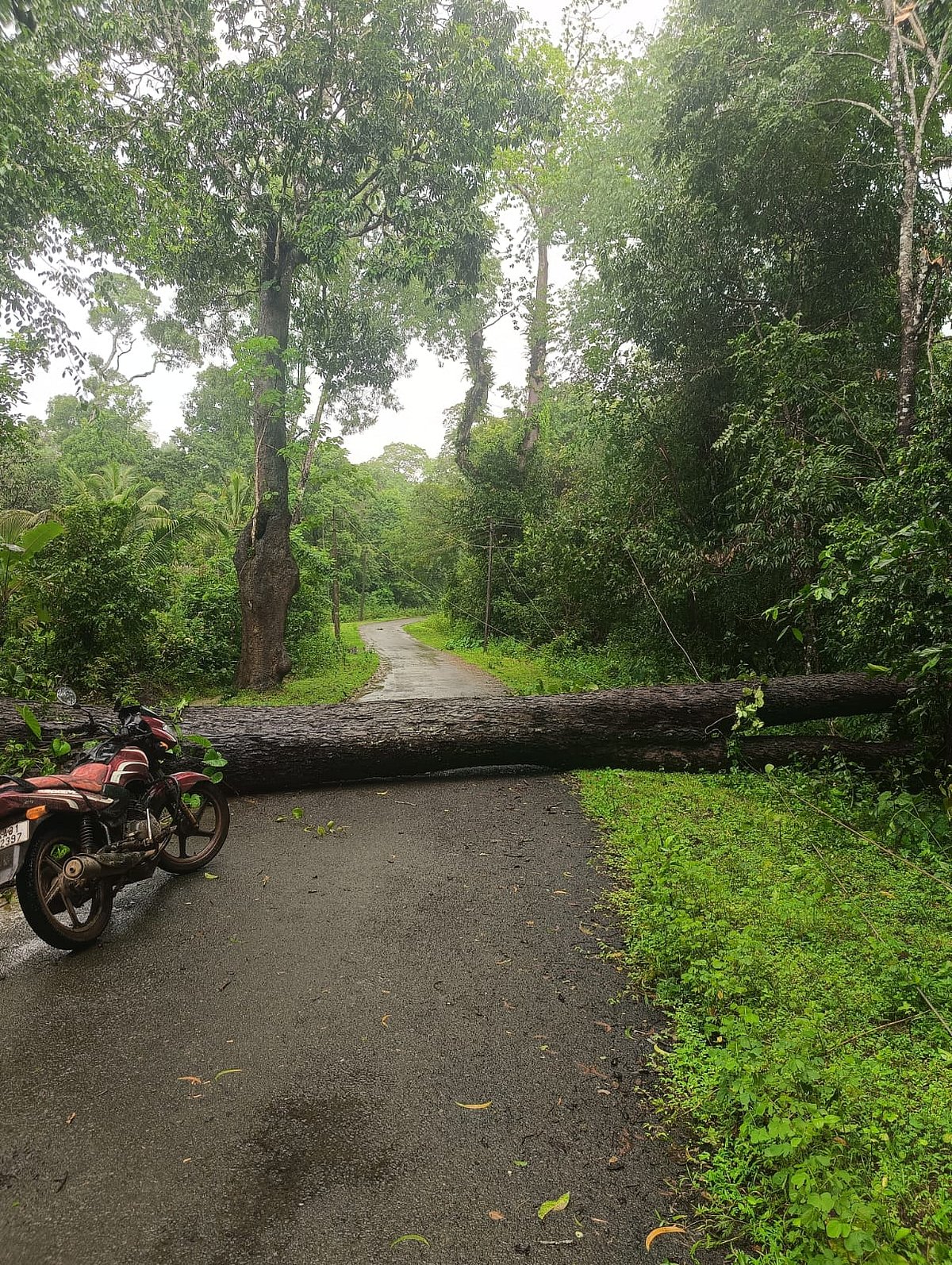 ಉತ್ತರ ಕನ್ನಡ | ಮಳೆ, ಗಾಳಿಯ ಅಬ್ಬರ: ಅಲ್ಲಲ್ಲಿ ಹಾನಿ